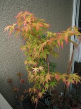 04_26_06_1.jpg