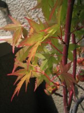 05_07_06_1.jpg