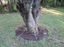 2012-08-06 06.53.11.jpg