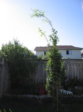 IMG_4638s.jpg