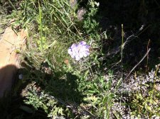 IMG_0126[1].jpg