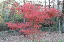 IMG_0747.jpg