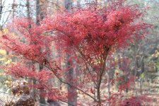 IMG_0792.jpg