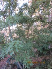 IMG_9097.jpg