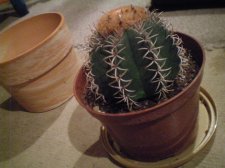 100_2316.jpg