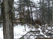 IMG_9966.jpg