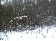 IMG_9968.jpg