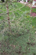IMG_1752.jpg