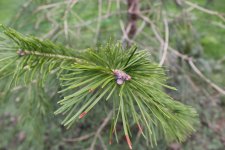 IMG_1754.jpg