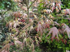 DSCN4612.jpg