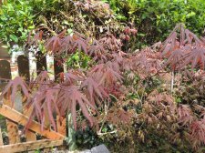 DSCN4611.jpg
