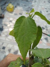 DSC_0312~01.jpg