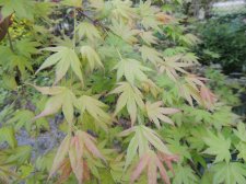 DSCN4653.jpg