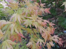 DSCN4654.jpg