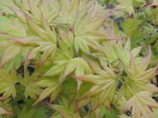 DSCN4656.jpg