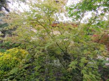 DSCN4652.jpg