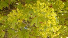 2013-05-01-603.jpg