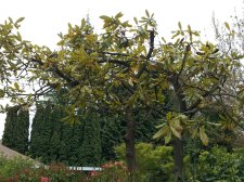 20130502_174940.jpg