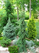 IMG_0137.jpg