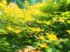 Landscape 050.jpg