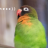 Queeran