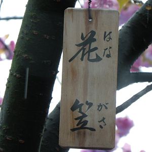 2015-04-14 OsakaMint&OsakaCastle_Hanagasa_Izaki 158